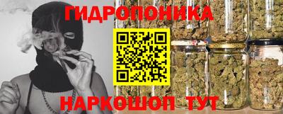 шишки Обнинск