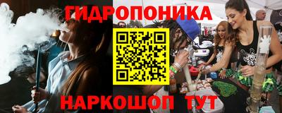 шишки Обнинск