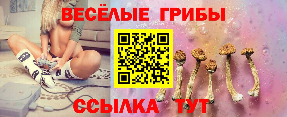 Нижний Новгород  Галлюциногенные грибы Psilocybe  Галлюциногенные грибы мухоморы  купить наркоту  Вход с VPN 