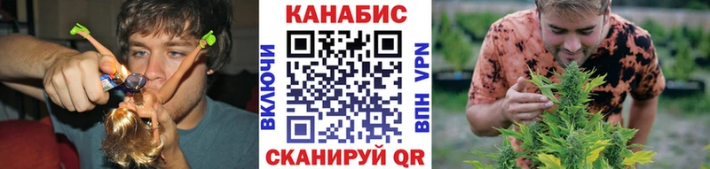 Конопля сатива  Нижний Новгород 